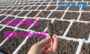 大家都用重量分揀機分選海參了！您還在用人工分選嗎？