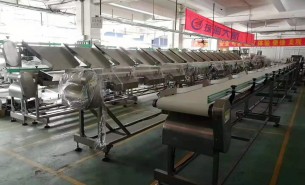 海參捕撈季將至，海參重量大小自動分級秤正緊密備貨中