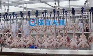 重量分揀設(shè)備如何實(shí)現(xiàn)整雞分選？