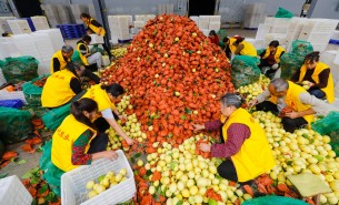 自動化分揀稱重設備：助力生鮮、凍貨及食品加工行業(yè)突破瓶頸